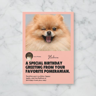 Winking Pomeranian Birthday Card