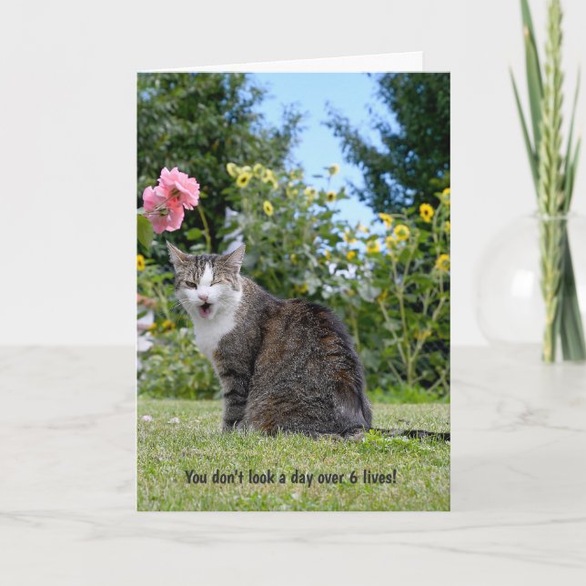winking tabby cat for humourous birthday card (Front)