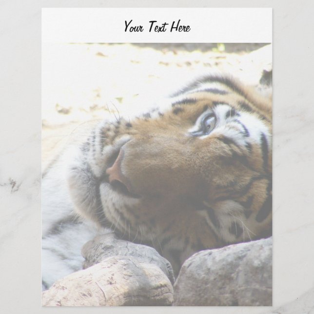 Winking Tiger (Front)
