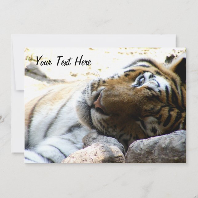Winking Tiger Invitation (Front)