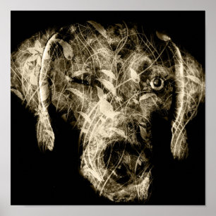 winking weimaraner poster
