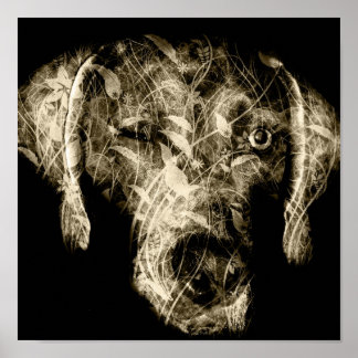 winking weimaraner poster