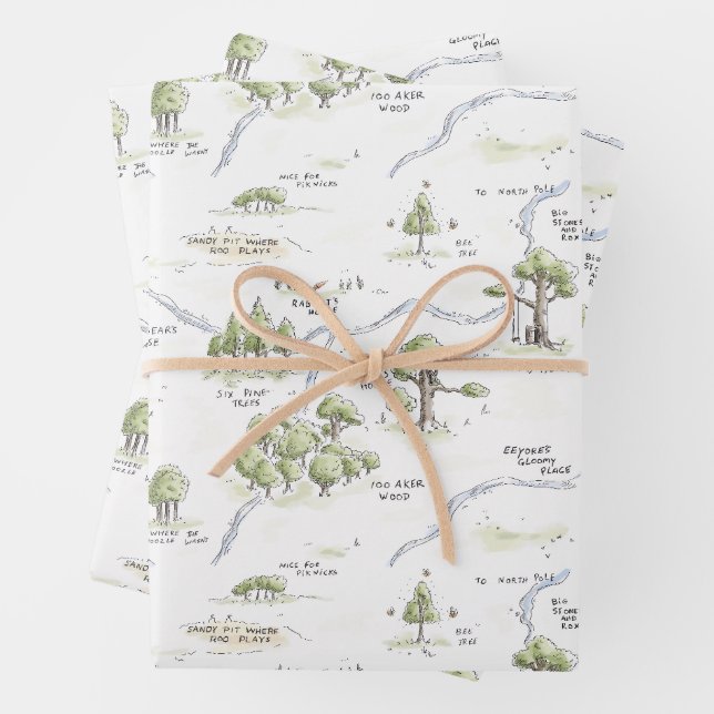 Winnie the Pooh 100 Acre Wood Pattern  Wrapping Paper Sheet (In situ)