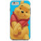 Winnie the Pooh 13