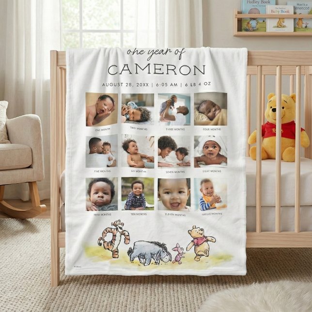 Winnie the Pooh | One Year of - 12 Months Fleece Blanket (Creator Uploaded)