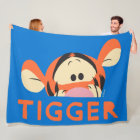 Winnie the Pooh | Peek-a-Boo Tigger