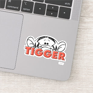 Winnie the Pooh   Tigger Peek-A-Boo
