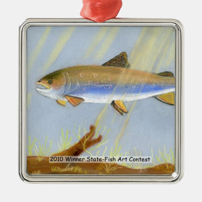 Winning Art By C. Nudo Grade 6 Metal Ornament (Front)