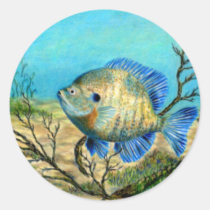 Winning art by  G. Barker - Grade 11 Classic Round Sticker