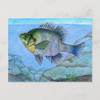 Winning artwork by L. Luan, Grade 7 Postcard