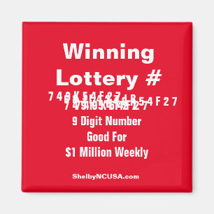 Winning Lottery Number Magnet