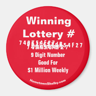 Winning Lottery Number Magnet
