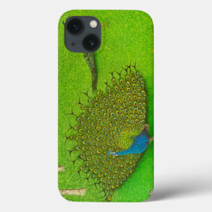 Winning Ways 2012 iPhone 13 Case