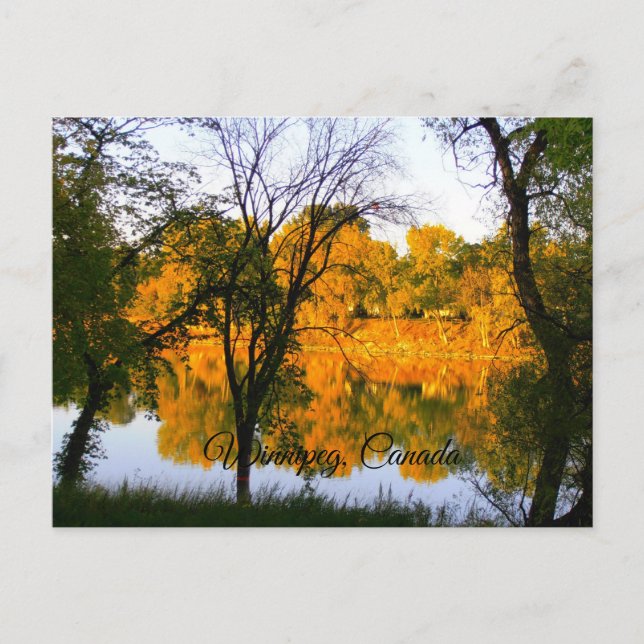 Winnipeg Autumn Postcard (Front)