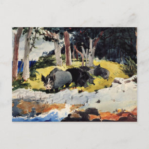 Winslow Homer - Bermuda Settlers Postcard