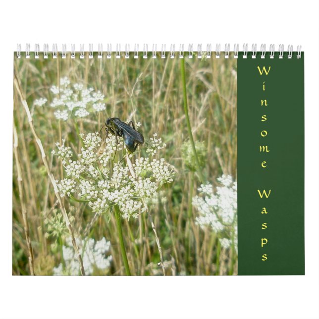 Winsome Wasps Calendar (Cover)