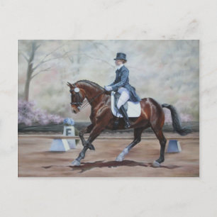 Winsor in Dressage Postcard