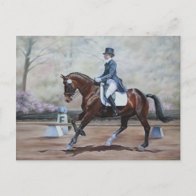 Winsor in Dressage Postcard (Front)