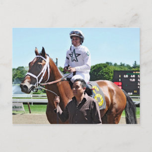 Winstar Farm's King Cyrus Postcard
