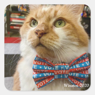 Winston 2020 square sticker