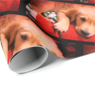 Winston, Christmas, Matte Wrapping Paper, 30" x 6' Paper