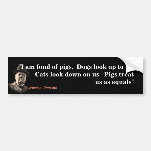 Winston Churchill Quote On Pigs  Bumper Sticker (Front)