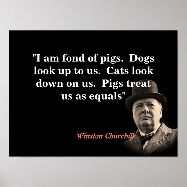 Winston Churchill Quote On Pigs Poster (Front)