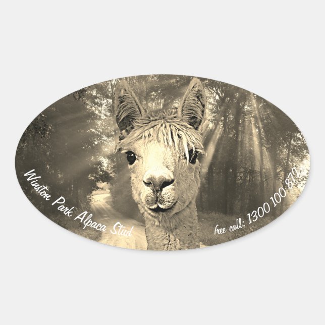 Winston Park Alpaca Stud Oval Sticker (Front)
