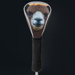 Winston The Brown Alpaca,  Golf Head Cover<br><div class="desc">Pictured up close is a brown with white nose woolly Alpaca</div>