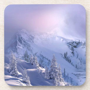 Winter 10 coaster