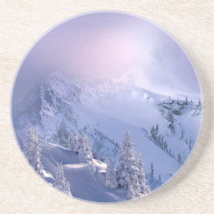 Winter 10 coaster