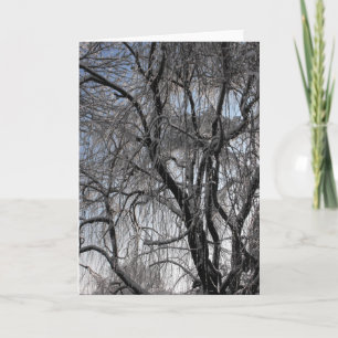 Winter ~ 24 holiday card