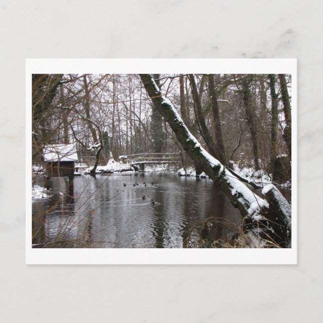Winter an der Wümme Postcard (Front)