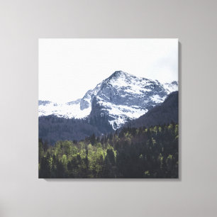 Winter and Spring - green trees and snowy mountain Canvas Print