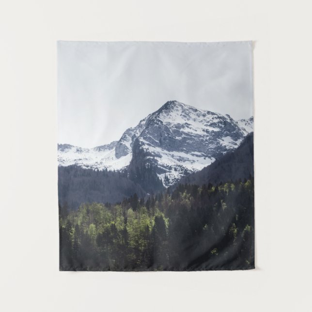 Winter and Spring - green trees and snowy mountain Tapestry (Front)