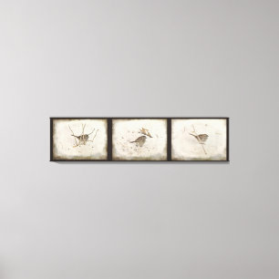 Winter and the Sparrow Canvas Print