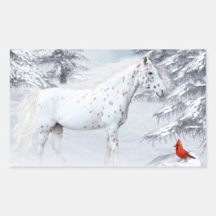 Winter appaloosa sticker