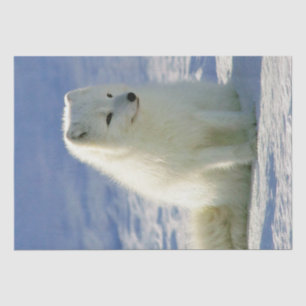 Winter Arctic Fox Tissue Paper