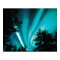 WINTER AURORA (PRINT QUALITY) 46X31