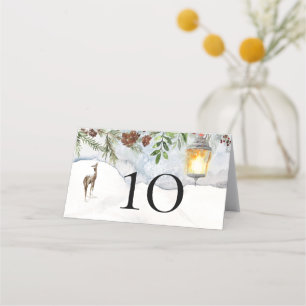 Winter Baby Shower. Baby it's cold outside Place Card