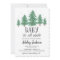 winter Baby Shower Greenery Woods