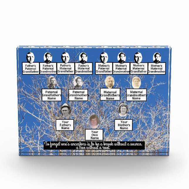 Winter Bare Branch Tree Photo Family Tree Quote (Front)