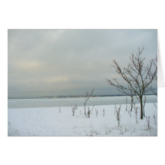 winter beach