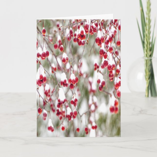 Winter Berries Red White Christmas Colours Snow Holiday Card (Front)
