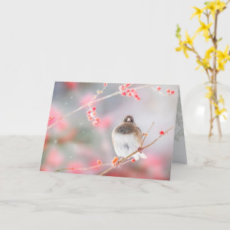 "Winter Berry Junco", 5" x 7" Folded Greeting Card