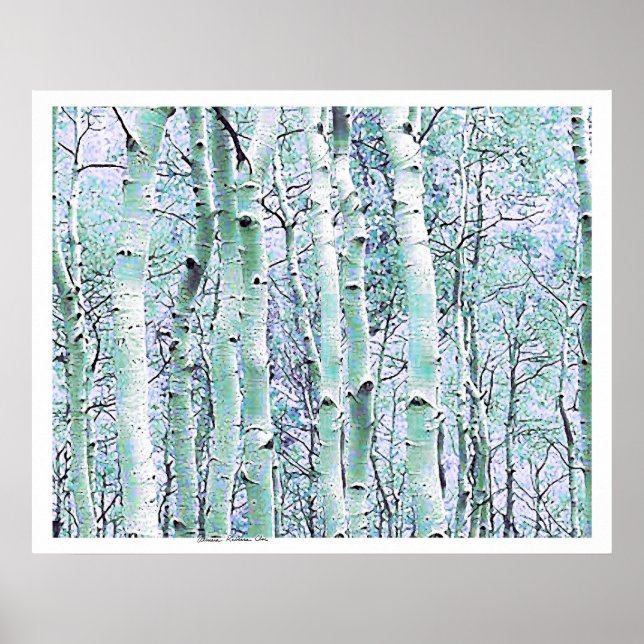 Winter Birch Poster (Front)