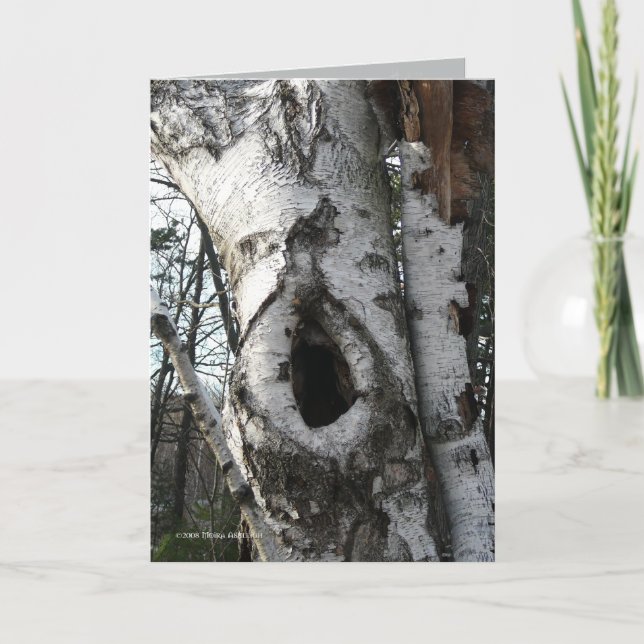 Winter Birch Trees Card (Front)