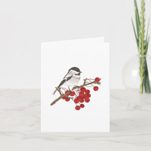 Winter Bird- Christian Note Cards