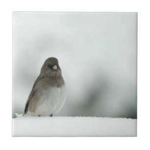 Winter Bird Tile
