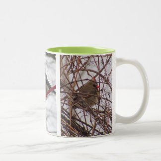 Winter Birds Mug